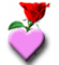 send graatings to your friends